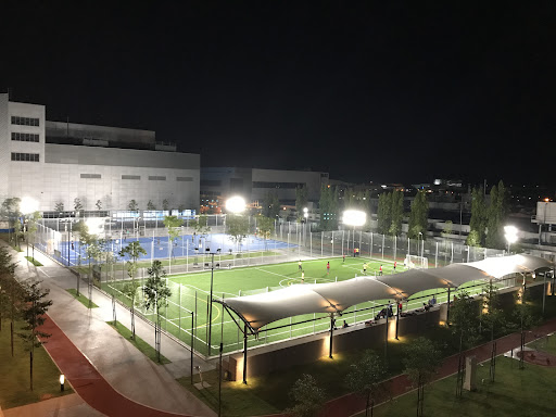 B10, B. Braun Medical Industries Sdn Bhd