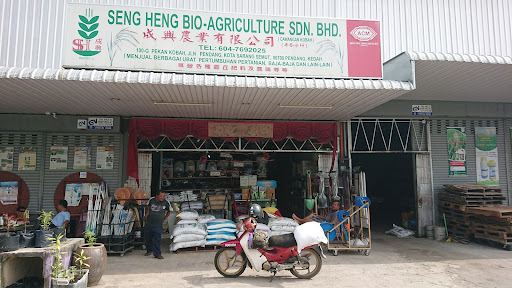 Kedai ubat seng heng
