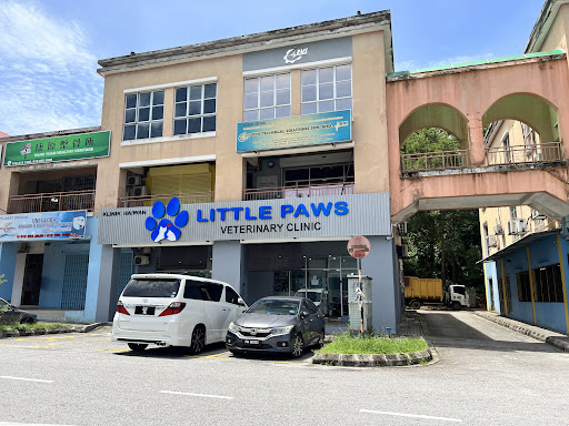 Little Paws Veterinary Clinic Little Paws Veterinary Clinic