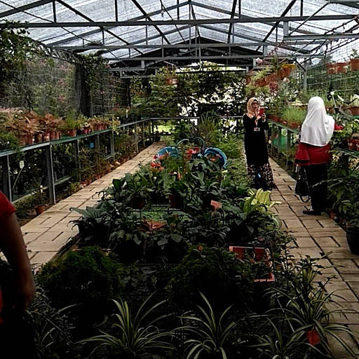 Nova Babylon Sdn Bhd