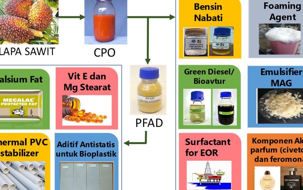 farmasi terbaik di kelapa sawit